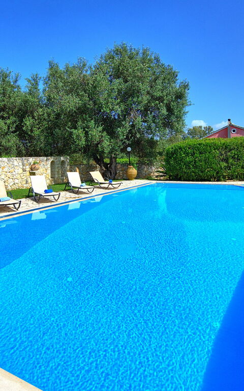 Votana House: Piscina