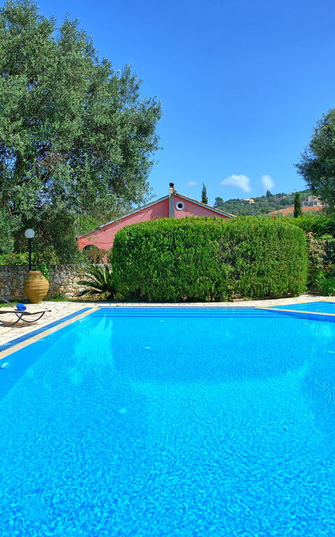 Votana House: Piscina