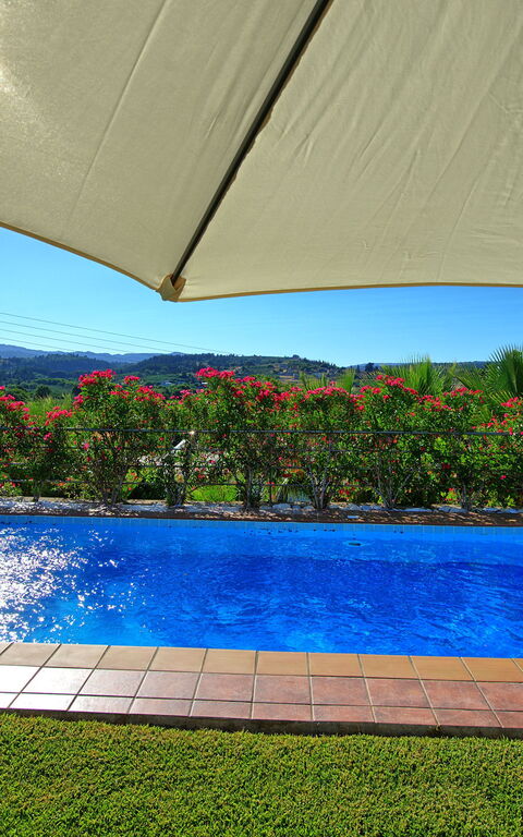 Villa Politini: Piscina