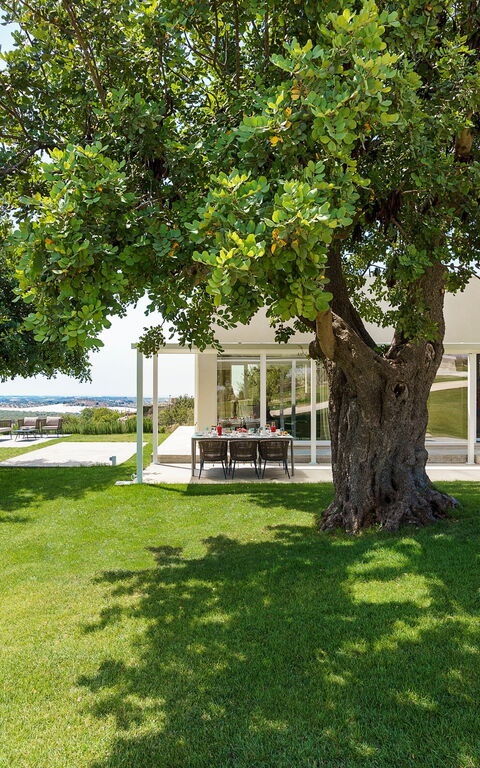 Villa Colleverde: all'aperto, Giardino