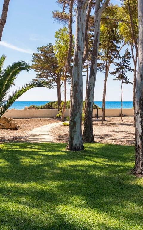 Marinella Punta Milocca: all'aperto, Giardino
