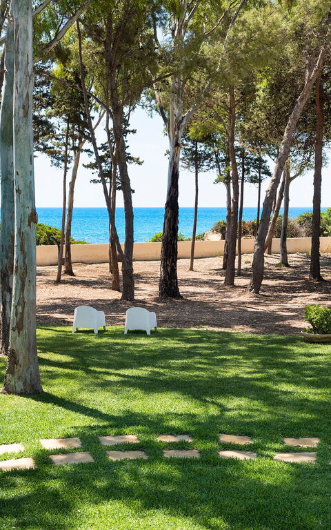 Marinella Punta Milocca: all'aperto, Giardino