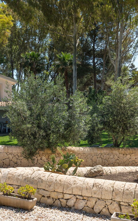 Marinella Punta Milocca: all'aperto, Giardino