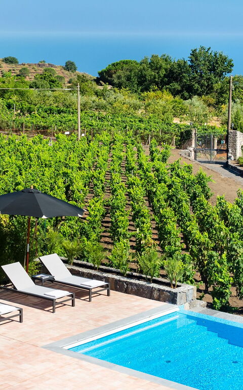 Villa Palmento Rosa: Piscina