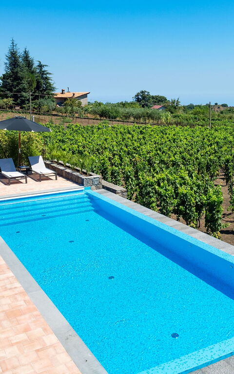 Villa Palmento Rosa: Piscina