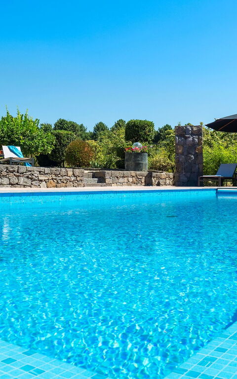 Villa Palmento Rosa: Piscina