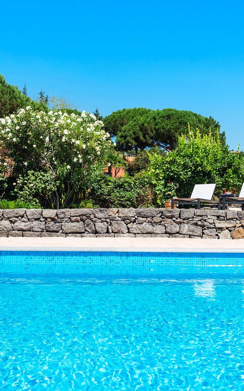 Villa Palmento Rosa: Piscina