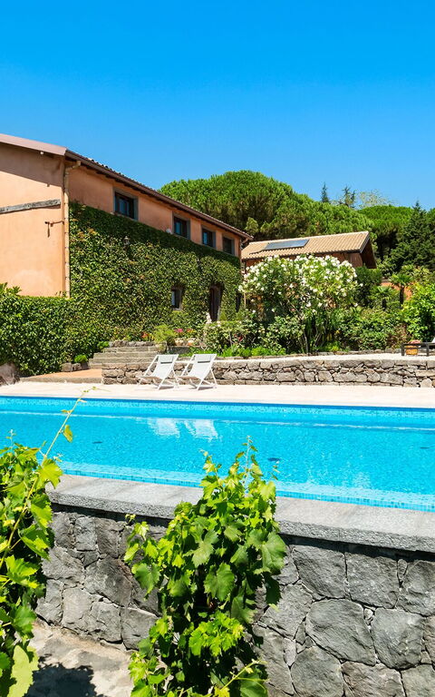 Villa Palmento Rosa: Piscina