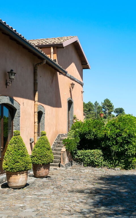 Villa Palmento Rosa: all'aperto, Esterni