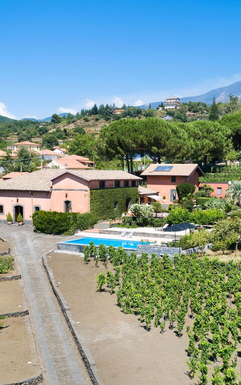Villa Palmento Rosa: all'aperto