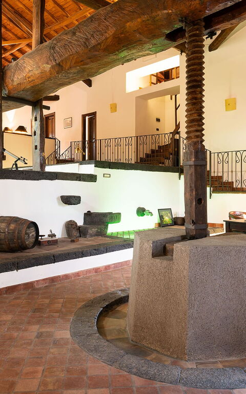 Villa Palmento Rosa: Soggiorno