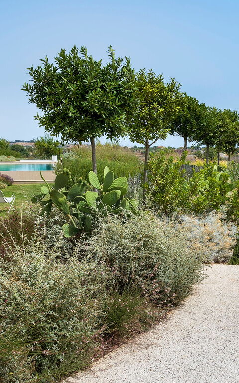 Villa Meravilla: all'aperto, Giardino