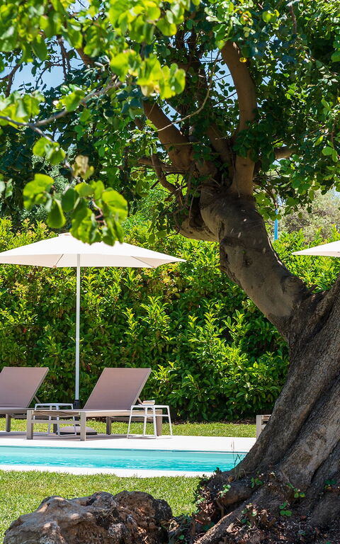 Villa Girasole: all'aperto