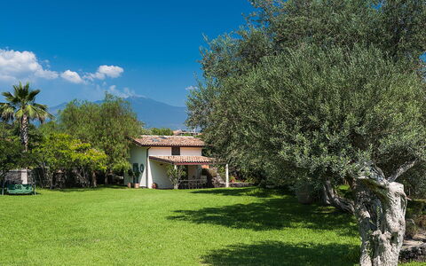 Alloggio Casetta: Giardino