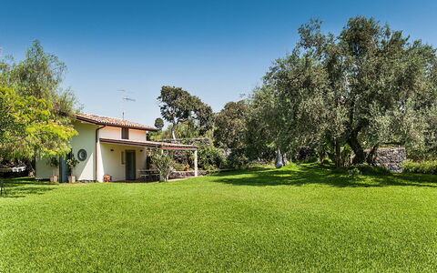 Alloggio Casetta: Giardino