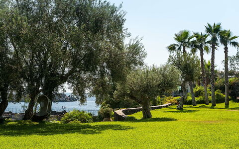 Alloggio Casetta: Giardino