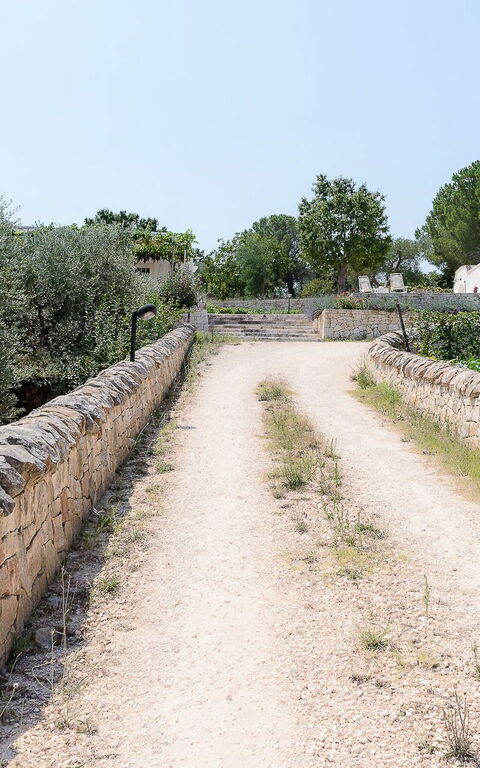 Trullo Oak