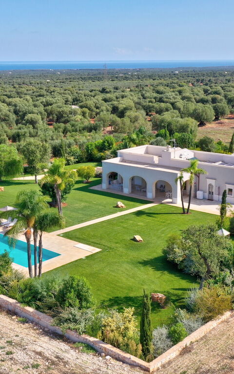 Villa Bellavista: Giardino, Piscina, Vista Panoramica