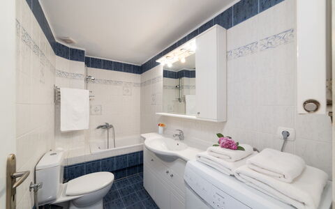 Alloggio Aria 2: Bagno