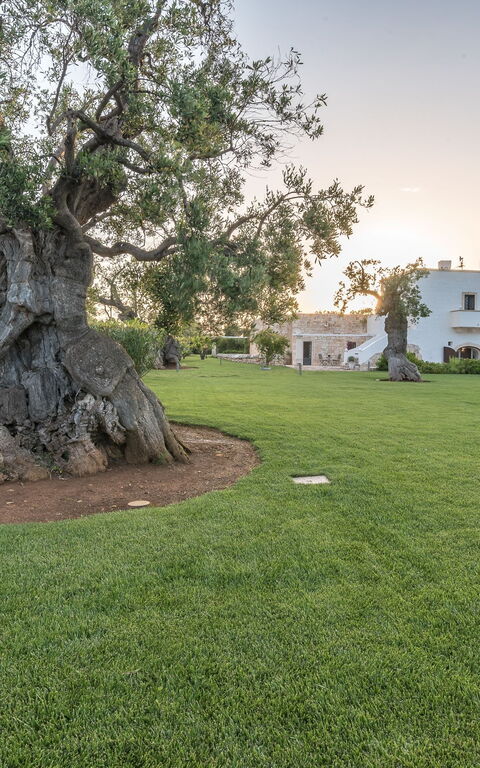 Masseria Villa Il Frantoio
