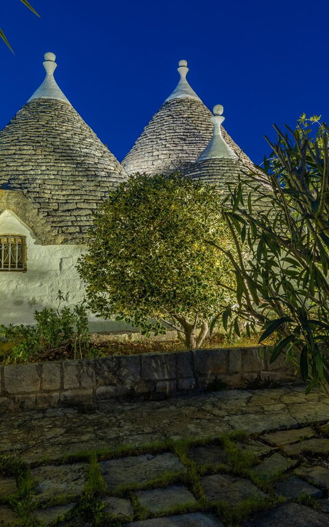 Trullo Patricia Pool: Esterni, Giardino