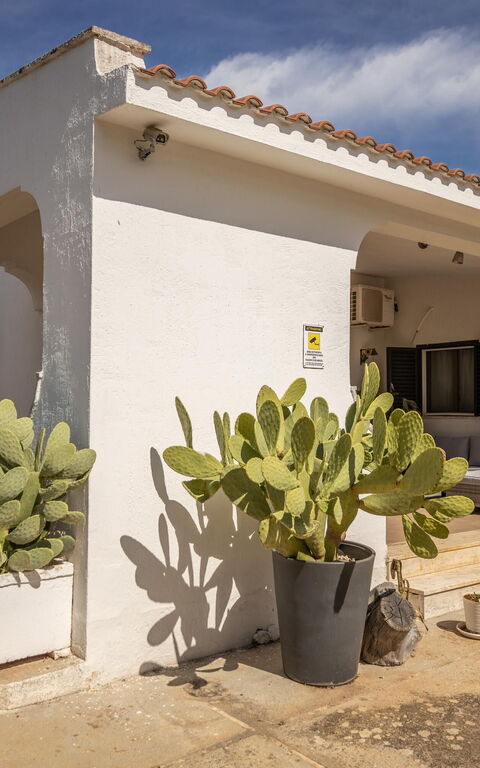 Villa Natura: Balcone / Terrazza / Patio, Entrata Principale, Esterni