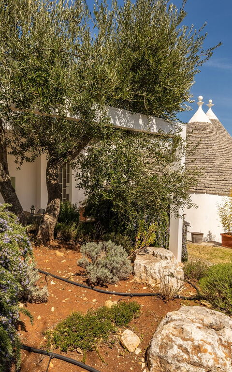 Tenuta Minnea: Esterni, Giardino