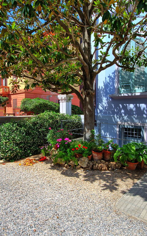 Casa Riva: all'aperto