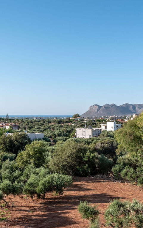 Iris: Vista Panoramica