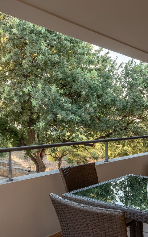 Iris: all'aperto, Balcone / Terrazza / Patio, Vista Panoramica