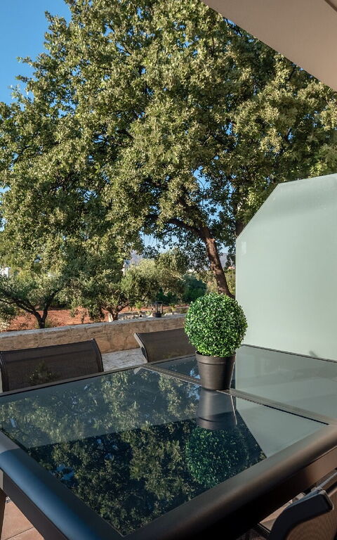 Dioni: all'aperto, Balcone / Terrazza / Patio, Giardino, Vista Panoramica