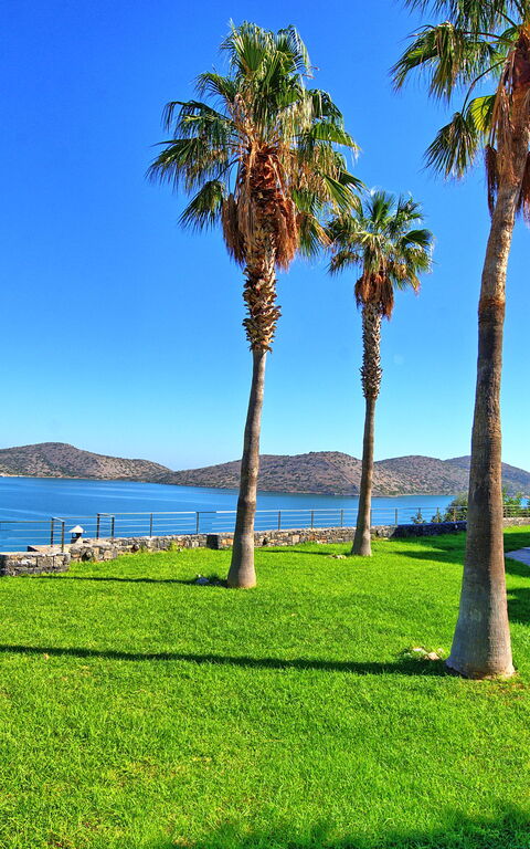 Villa Marina: all'aperto, Giardino, Vista Panoramica