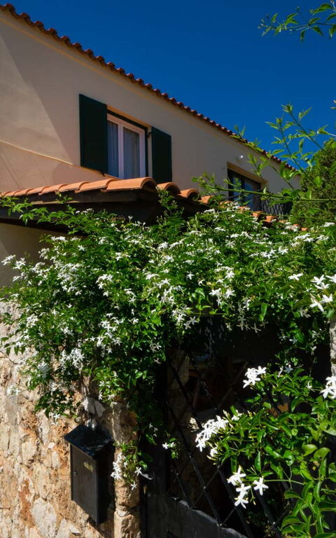 Villa Giani: Esterni, Giardino