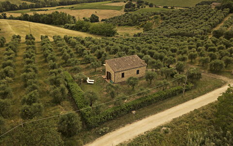Alloggio Capanna: Vista Panoramica