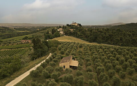 Alloggio Capanna: Vista Panoramica