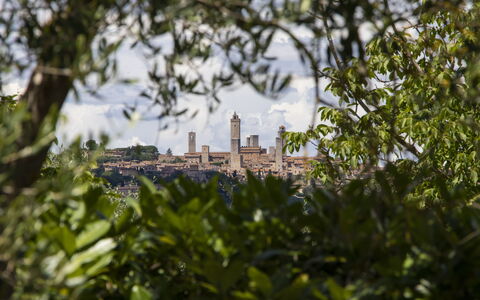 Alloggio Capanna: Vista Panoramica