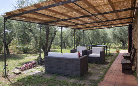 Alloggio Capanna: Esterni, Giardino