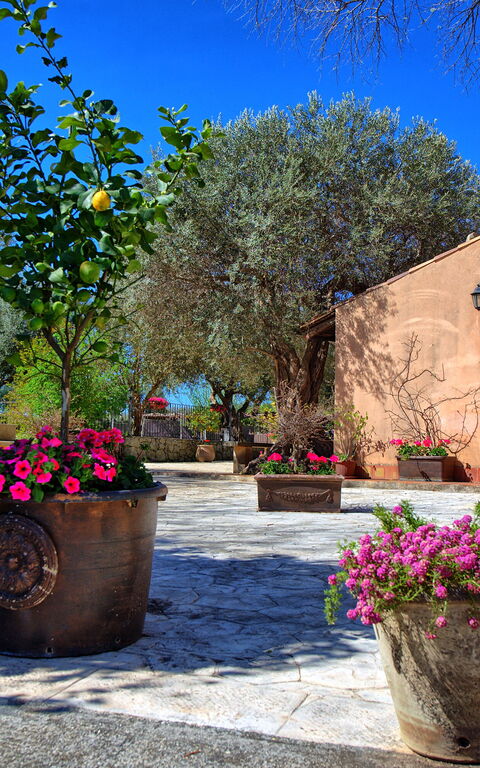 Villa Maddalena: all'aperto, Balcone / Terrazza / Patio, Esterni