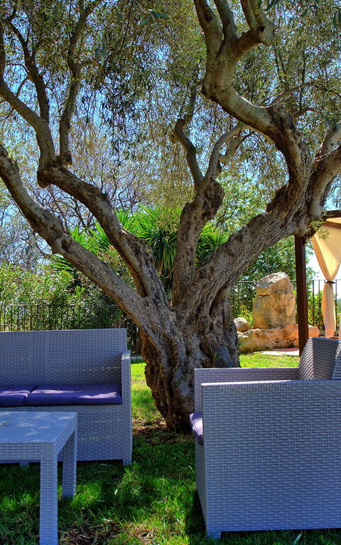 Villa Maddalena: all'aperto, Esterni, Giardino