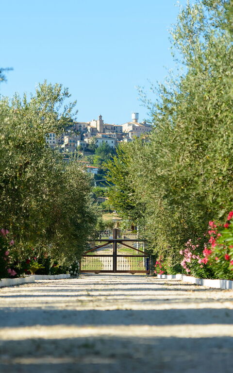 Villa Vittoria: all'aperto, Giardino, Vista Panoramica