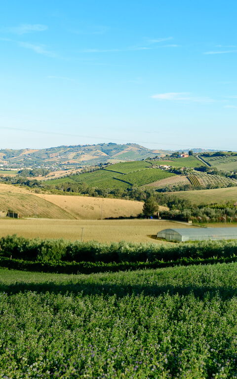 Villa Vittoria: all'aperto, Vista Panoramica