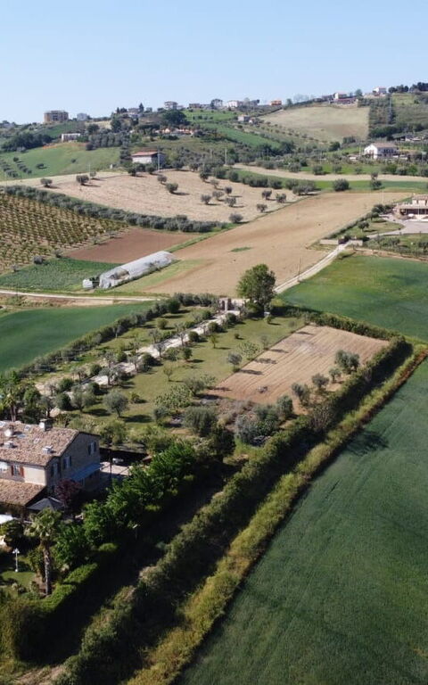 Villa Vittoria: all'aperto