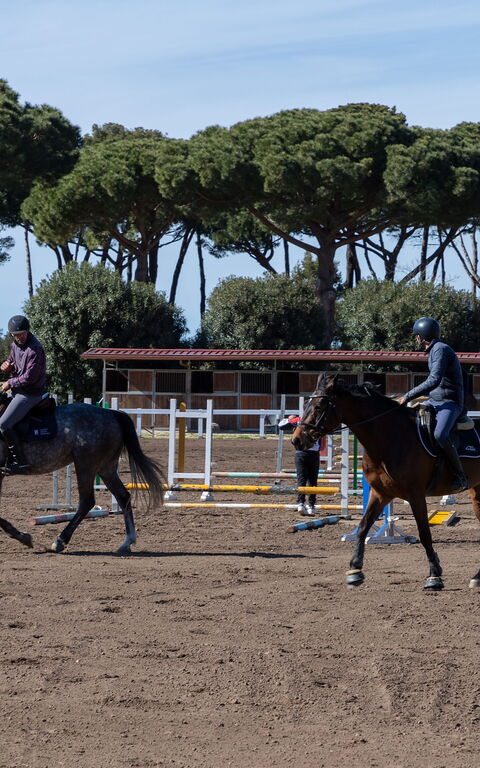 Villa Dolce Vita: all'aperto, Attività