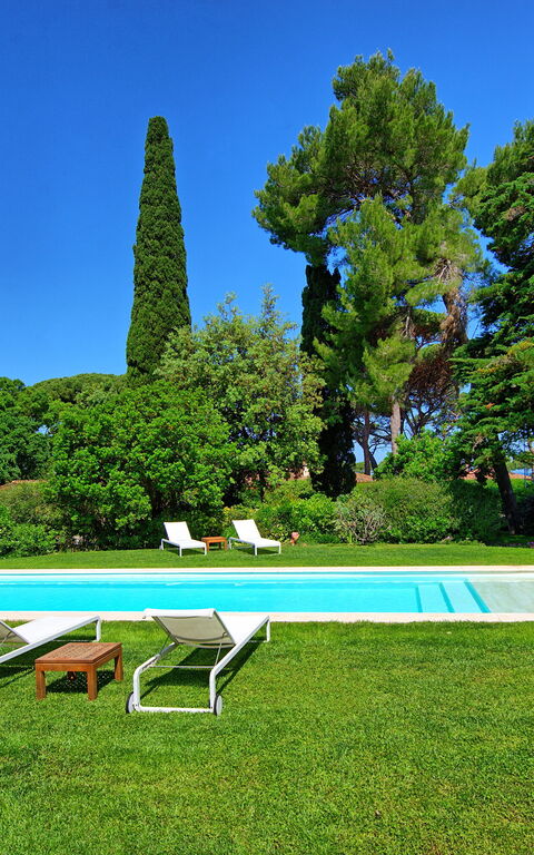 Villa Dolce Vita: all'aperto, Giardino, Piscina