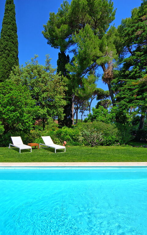 Villa Dolce Vita: all'aperto, Giardino, Piscina