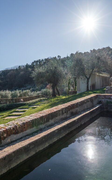 Villa Bellostare: all'aperto, Esterni, Giardino