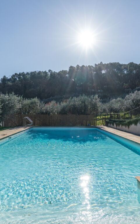 Villa Bellostare: all'aperto, Esterni, Piscina