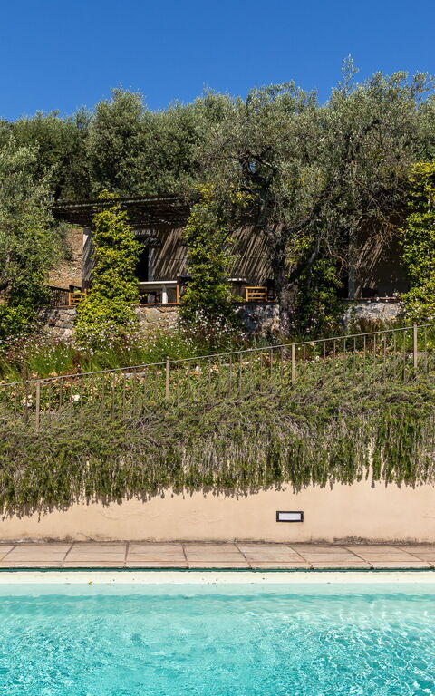 Villa Bellostare: all'aperto, Piscina