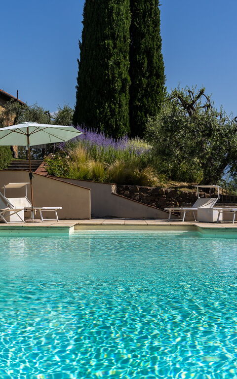 Villa Bellostare: all'aperto, Piscina
