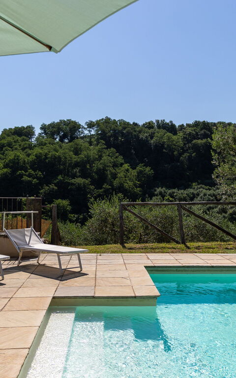 Villa Bellostare: all'aperto, Piscina